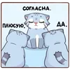 🤝 Эмодзи «😏 Кот Урка» для Telegram