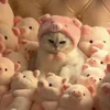 😡 Эмодзи «Cat» для Telegram