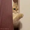 👉 Эмодзи «Cat» для Telegram