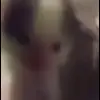 🌟 Эмодзи «Cat» для Telegram