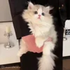 🧸 Эмодзи «Cat» для Telegram
