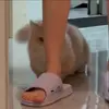 Эмодзи Cat для Telegram — скачать