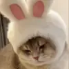 🥰 Эмодзи «Cat» для Telegram