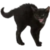 🤩 Эмодзи «Cat Memes» для Telegram