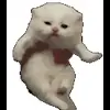 🤩 Эмодзи «Cat Memes» для Telegram
