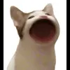 🤩 Эмодзи «Cat Memes» для Telegram