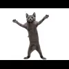 🤩 Эмодзи «Cat Memes» для Telegram