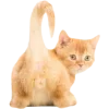 🤩 Эмодзи «Cat Memes» для Telegram