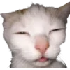 🤩 Эмодзи «Cat Memes» для Telegram