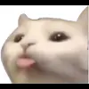 🤩 Эмодзи «Cat Memes» для Telegram