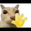 🤩 Эмодзи «Cat Memes» для Telegram