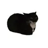 🤩 Эмодзи «Cat Memes» для Telegram