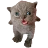 🤩 Эмодзи «Cat Memes» для Telegram