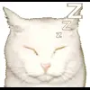 🤩 Эмодзи «Cat Memes» для Telegram