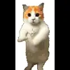 🤩 Эмодзи «Cat Memes» для Telegram
