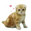 🤩 Эмодзи «Cat Memes» для Telegram