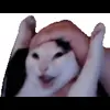 🤩 Эмодзи «Cat Memes» для Telegram