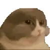 🤩 Эмодзи «Cat Memes» для Telegram