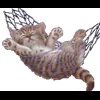 🤩 Эмодзи «Cat Memes» для Telegram