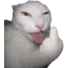 🤩 Эмодзи «Cat Memes» для Telegram