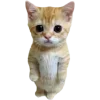 🤩 Эмодзи «Cat Memes» для Telegram