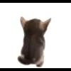 🤩 Эмодзи «Cat Memes» для Telegram