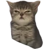 🤩 Эмодзи «Cat Memes» для Telegram