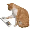 🤩 Эмодзи «Cat Memes» для Telegram