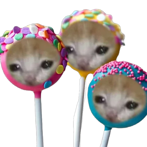 🫥 Стикер «Cat Eat» для Telegram