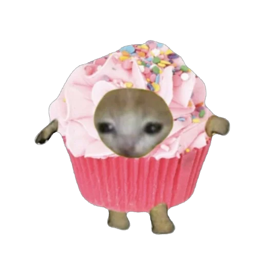 🫥 Стикер «Cat Eat» для Telegram