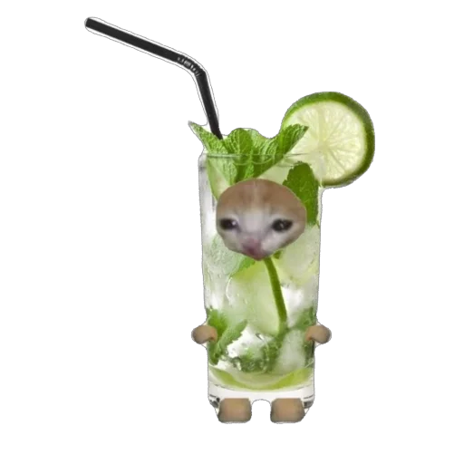 🫥 Стикер «Cat Eat» для Telegram