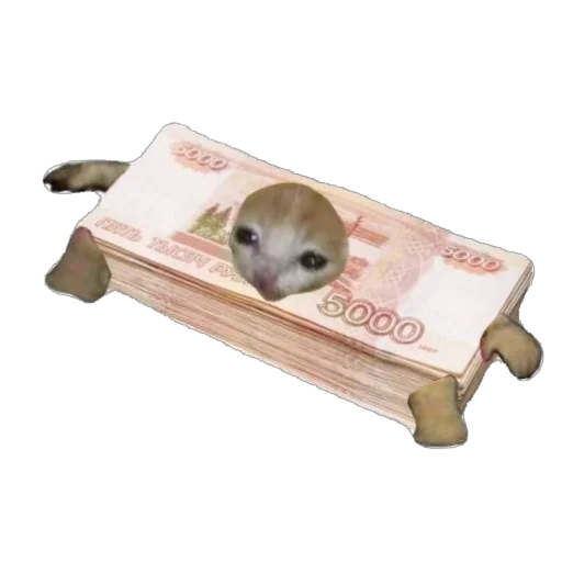 🫥 Стикер «Cat Eat» для Telegram