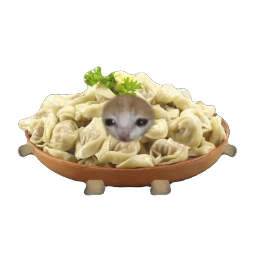 🫥 Стикер «Cat Eat» для Telegram
