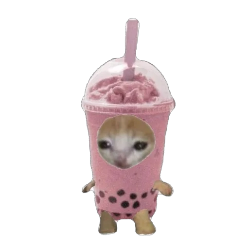 🫥 Стикер «Cat Eat» для Telegram