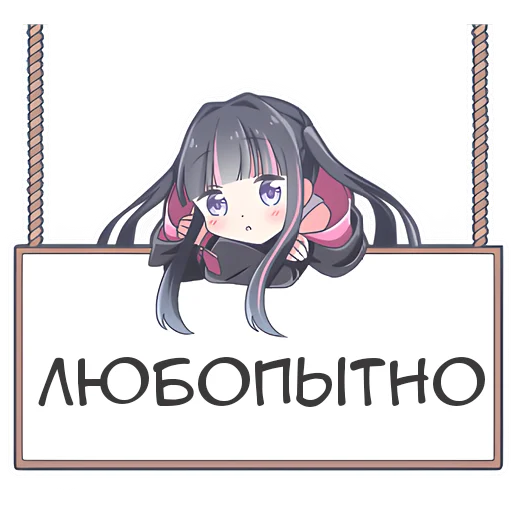 🧐 Стикер «Худи кошка» для Telegram