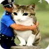 🫥 Эмодзи «Мяовл» для Telegram