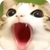 🫥 Эмодзи «Мяовл» для Telegram