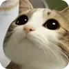 🫥 Эмодзи «Мяовл» для Telegram
