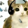 🫥 Эмодзи «Мяовл» для Telegram