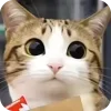 🫥 Эмодзи «Мяовл» для Telegram