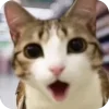 🫥 Эмодзи «Мяовл» для Telegram