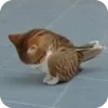 🫥 Эмодзи «Мяовл» для Telegram