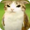 🫥 Эмодзи «Мяовл» для Telegram
