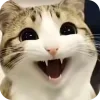 🫥 Эмодзи «Мяовл» для Telegram