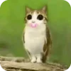 🫥 Эмодзи «Мяовл» для Telegram