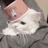😓 Эмодзи «Кисульки» для Telegram