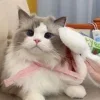 🥺 Эмодзи «Кисульки» для Telegram