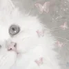 🥺 Эмодзи «Кисульки» для Telegram
