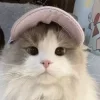 🧢 Эмодзи «Кисульки» для Telegram