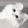 🥺 Эмодзи «Кисульки» для Telegram